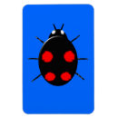 Pesquisar por ladybird imas Preto