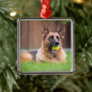 Pesquisar por bola de tênis ornamentos Cachorrinho