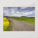 Pesquisar por canola cartoes postais Agricultura