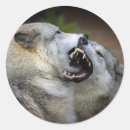 Pesquisar por parque animal selvagem adesivos Fotografia