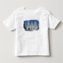 Pesquisar por catedral camisetas Igreja