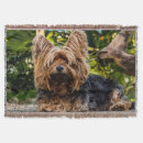 Pesquisar por yorkshires terrier mantas Cachorrinho