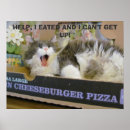 Pesquisar por pizza pôsteres pósteres Gato