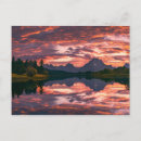 Pesquisar por remo cartoes Rio