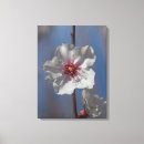 Pesquisar por flor simples impressão de canvas Fotografia