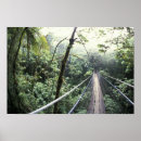 Pesquisar por costa rica fotografia Árvore