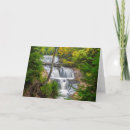 Pesquisar por judy cartoes Árvore