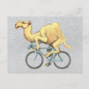 Pesquisar por andando de bicicleta cartoes postais Engraçado