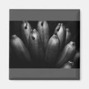 Pesquisar por fruta tropical imas Abstrato