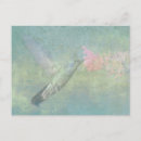 Pesquisar por hummingbird cartoes postais Beija flor