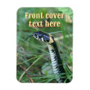 Pesquisar por olhos de cobra cartoes convites Répteis