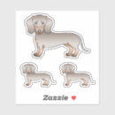 Pesquisar por shorts adesivos Cão