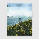 Pesquisar por niagara falls fotografia Cenas