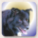 Pesquisar por dog porta copos Fofofo