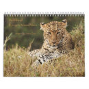 Pesquisar por rinoceronte calendarios Leopardo