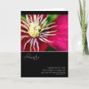 Pesquisar por quote cartoes postais Photography