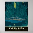 Pesquisar por jacaré verde pôsteres pósteres Natureza