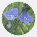 Pesquisar por prado adesivos Bonito