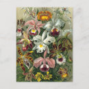 Pesquisar por ernst haeckel cartoes postais Natureza