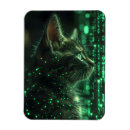 Pesquisar por gatinho imas Legal