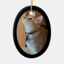 Pesquisar por stuffer da meia ornamentos Fotografia