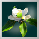 Pesquisar por esporte do tenis pôsteres pósteres Para ela