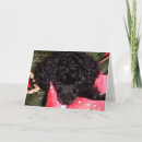 Pesquisar por anjo do cão cartoes Animal de estimação