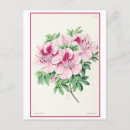 Pesquisar por imagens do vintage cartoes postais Colheita