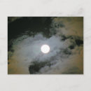 Pesquisar por completo fotografia Natureza