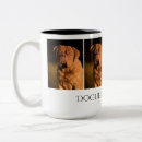 Pesquisar por dogue de bordéus Cães