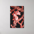 Pesquisar por defesa impressão de canvas Camuflagem