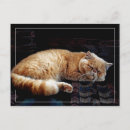 Pesquisar por gatos persas cartoes postais Fluffy