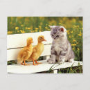 Pesquisar por feio cartoes postais Gatinho