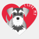 Pesquisar por eu amo schnauzers Cães