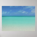 Pesquisar por caicos pôsteres pósteres Fotografia