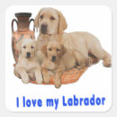 Pesquisar por labrador adesivos Animais de estimação