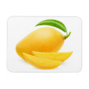 Pesquisar por fruta manga imas Tropical