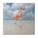 Pesquisar por praia azulejos Tropical
