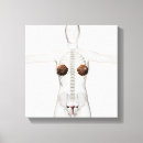 Pesquisar por imagens 3d impressão de canvas Imagem quadrada