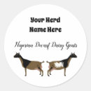 Pesquisar por uber adesivos Fazenda