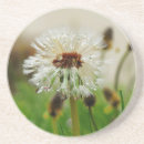 Pesquisar por erva daninha porta copos Dandelion