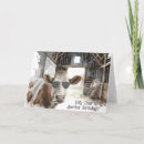 Pesquisar por aviador cartoes Engraçado