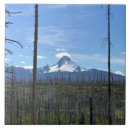 Pesquisar por monte azulejos Washington