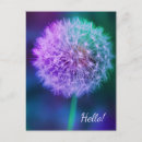 Pesquisar por dandelion cartoes postais Azul