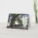 Pesquisar por harmony cartoes Nature