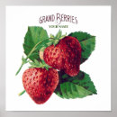 Pesquisar por fruta vintage pôsteres pósteres Colheita