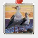 Pesquisar por gaivotas ornamentos Costa