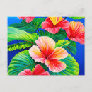 Pesquisar por flor do hibiscus cartoes postais Tropicais