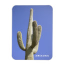 Pesquisar por sonora imas Arizona