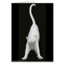 Pesquisar por de esticão Felino